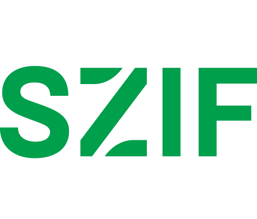 Logo 2