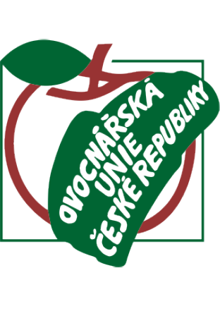 Logo 6